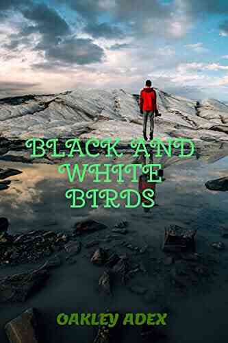 Black And White Birds: English