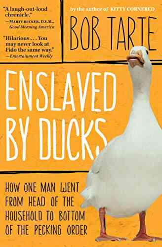 Enslaved By Ducks: How One Man Went From Head Of The Household To Bottom Of The Pecking Order