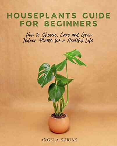 Houseplants Guide For Beginners: How To Choose Care And Grow Indoor Plants For A Healthy Life