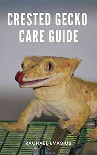 Crested Gecko Care Guide Catherine Douglass