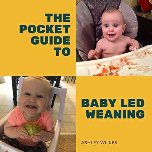 The Pocket Guide To Baby Led Weaning