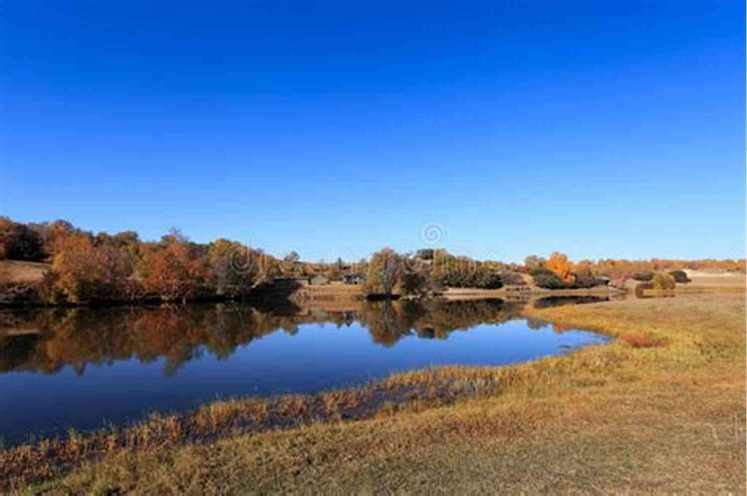 A Breathtaking View Of A Serene Lake Surrounded By Lush Green Trees Where The World Is Quiet