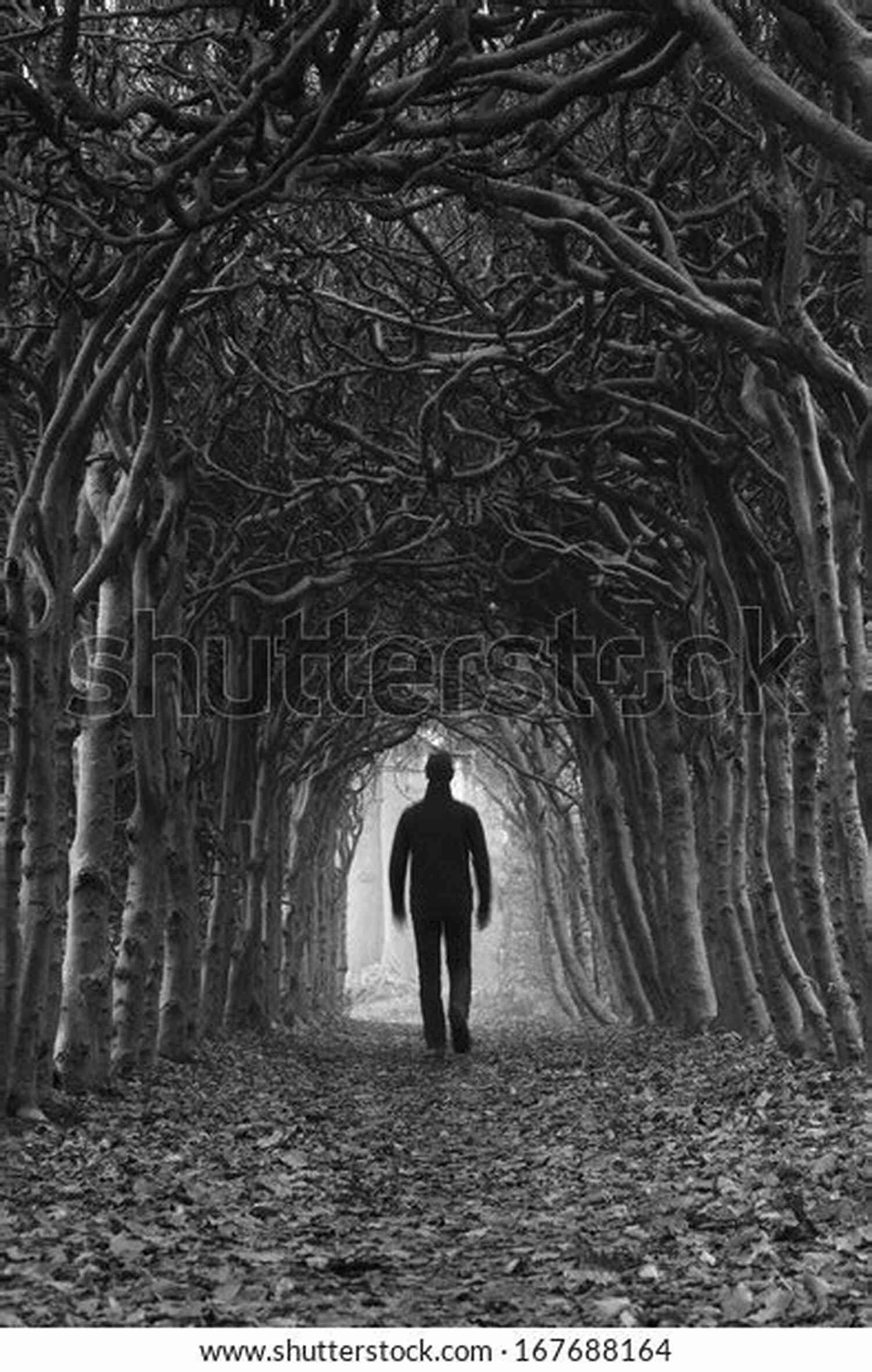 A Mysterious Stranger Walking On A Path Surrounded By Books Leo Tolstoy The First Distiller A Comedy: All Great Literature Is One Of Two Stories A Man Goes On A Journey Or A Stranger Comes To Town