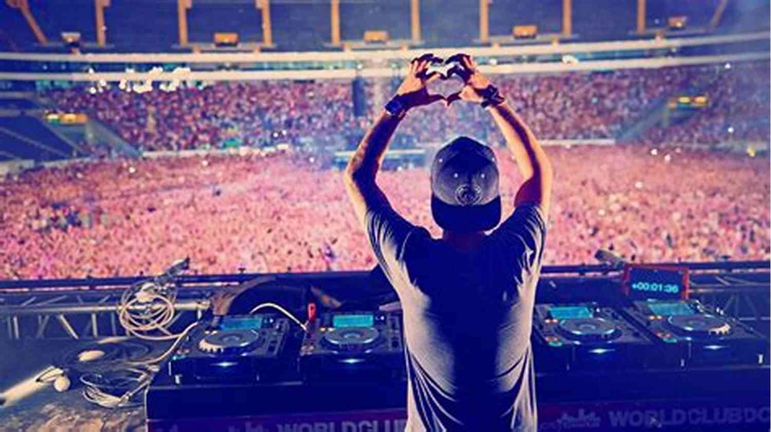 Avicii Performing Live At The Concert With Fans Cheering SUMMARY OF TIM BY MANS MOSESSON: The Official Biography Of Avicii