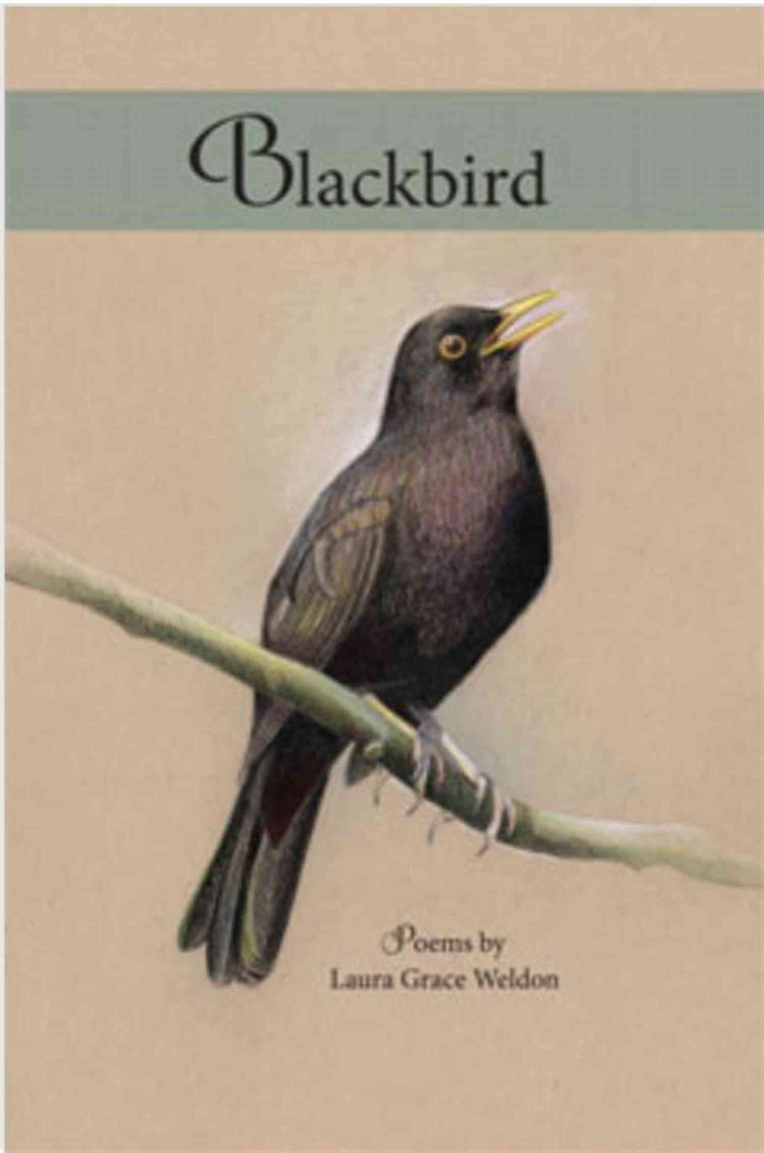 Blackbird Poems Laura Grace Weldon Blackbird: Poems Laura Grace Weldon