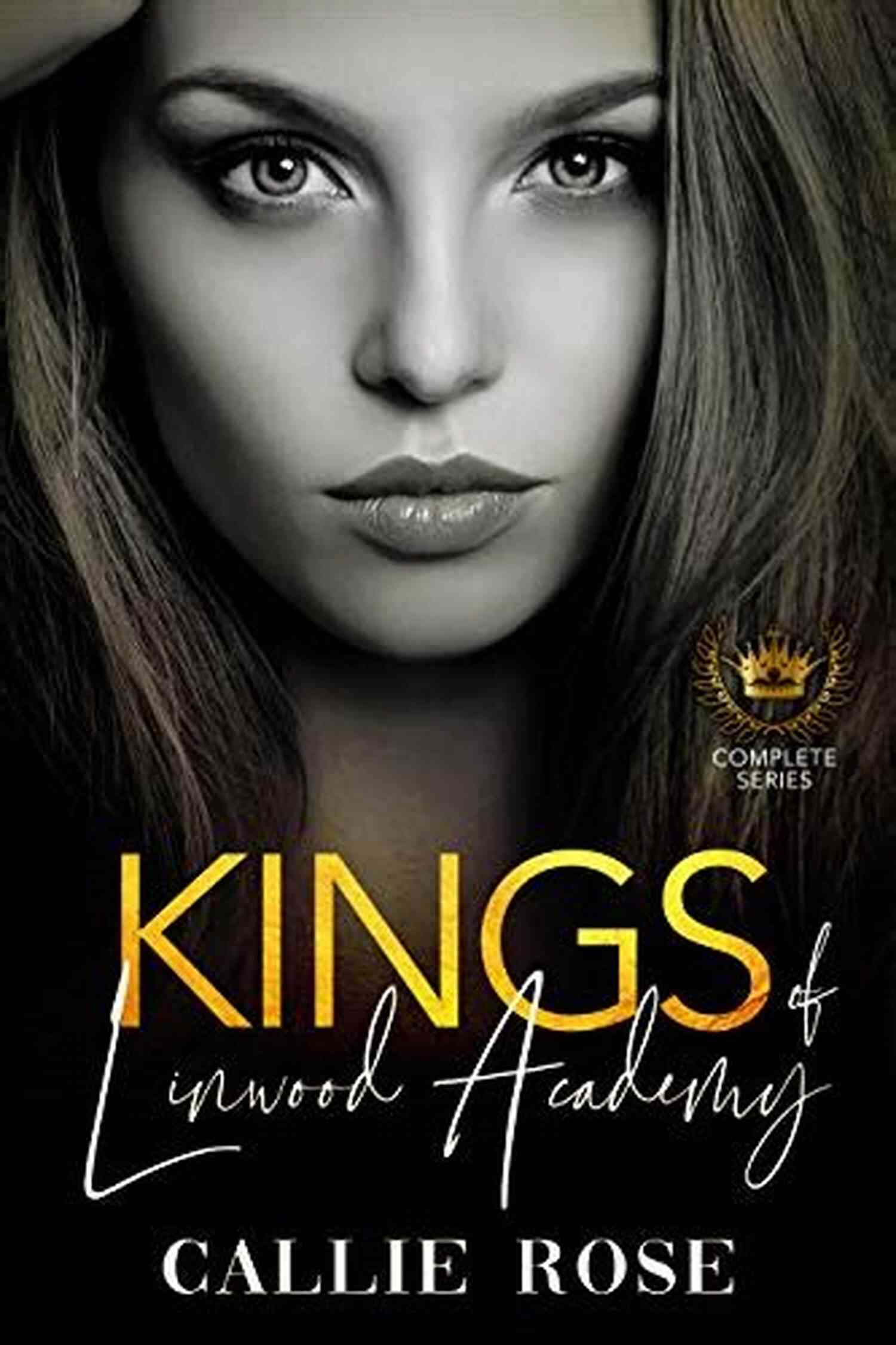 Dark High School Trilogy The Dark In The Dark: A Dark High School Slow Burn Romantic Suspense Trilogy (The Dark 1)