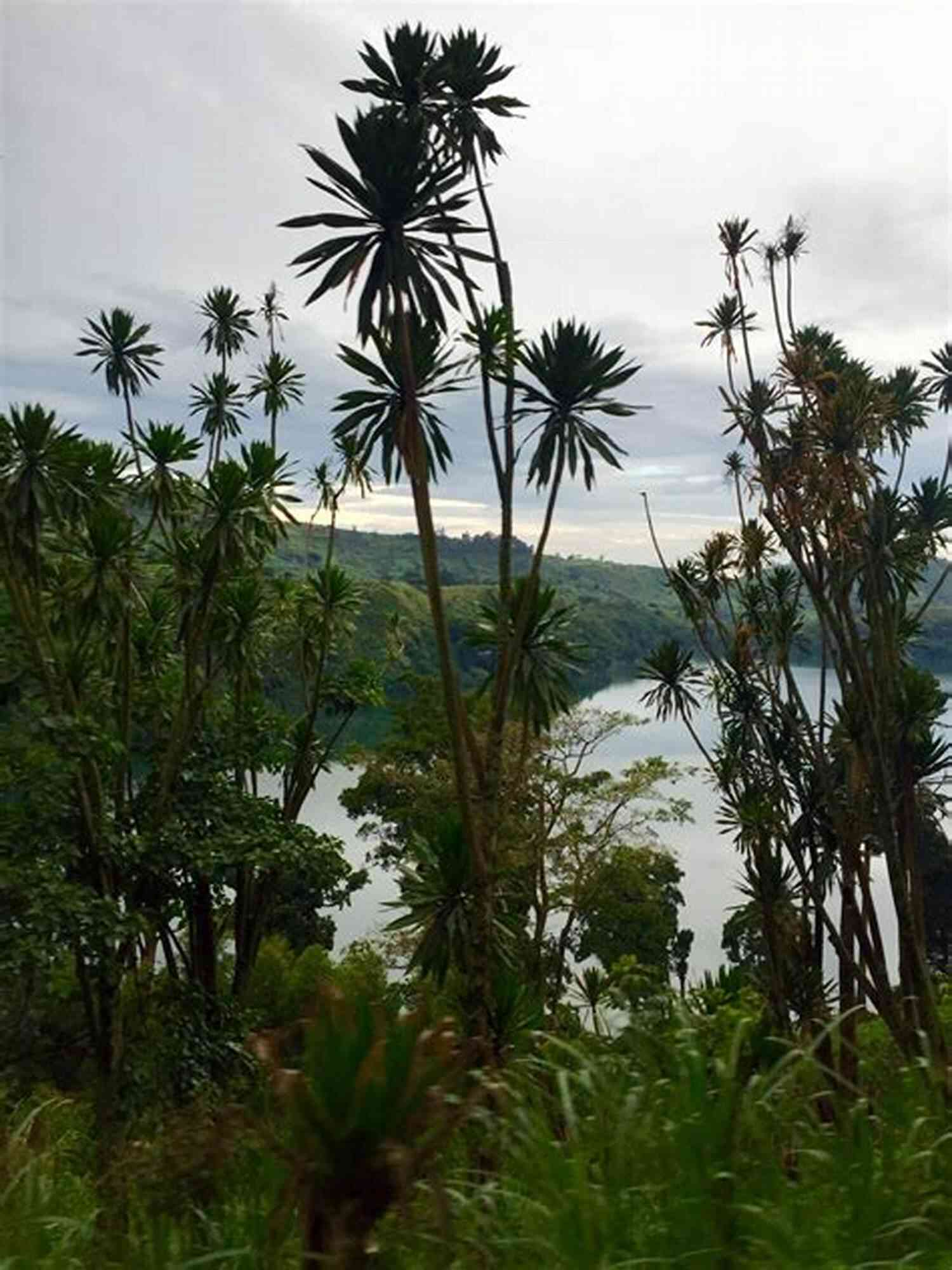 Discover The Breathtaking Landscapes Of Uganda Uganda The Place To Be