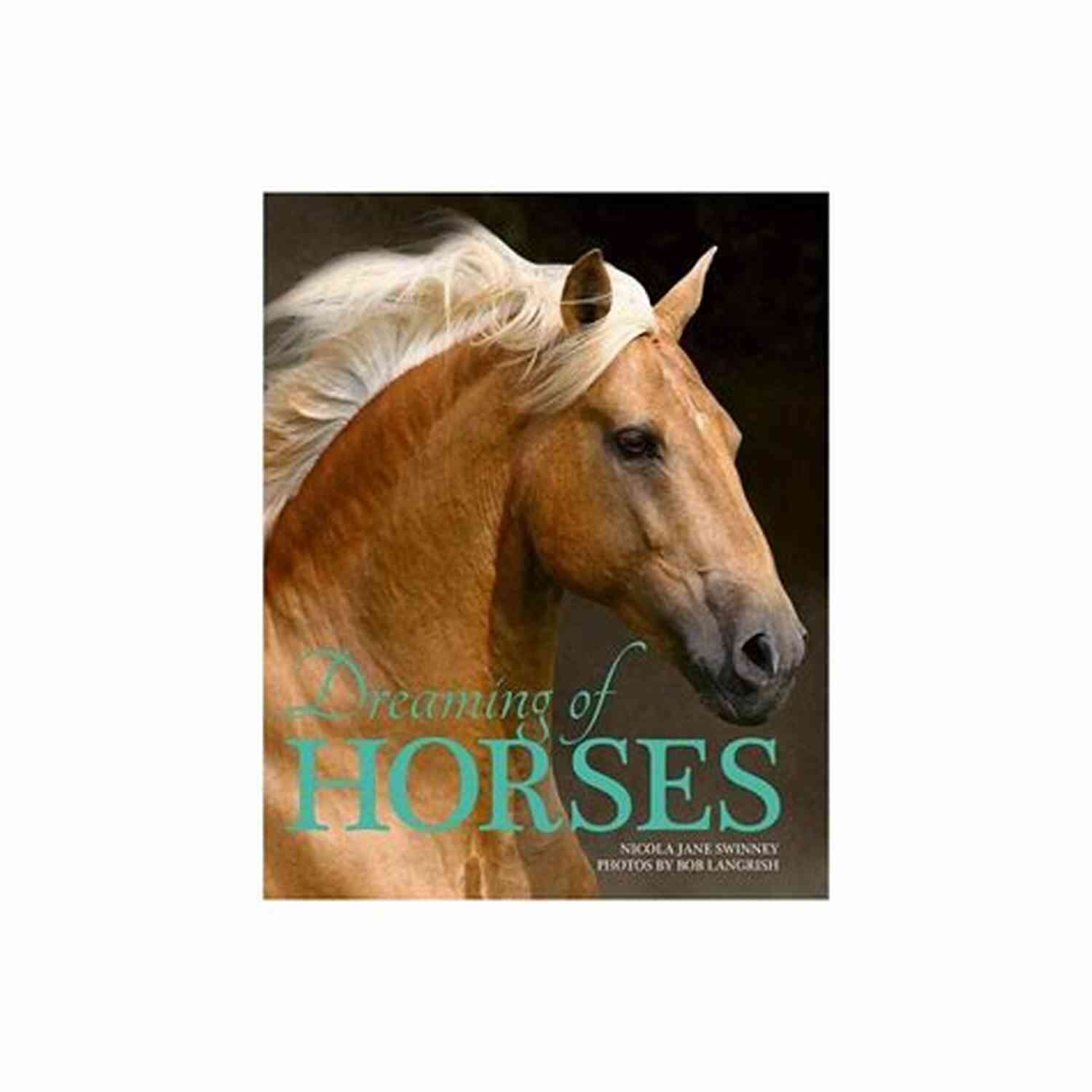 Dreaming Of Horses Poems By May Jordan Dreaming Of Horses: Poems By May Jordan