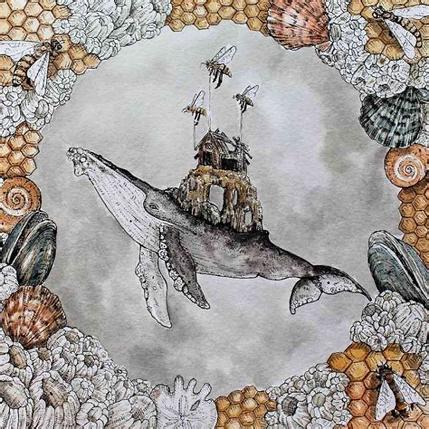 Illustration Of A Majestic Whale And A Determined Crab In An Underwater World The Whale And The Crab