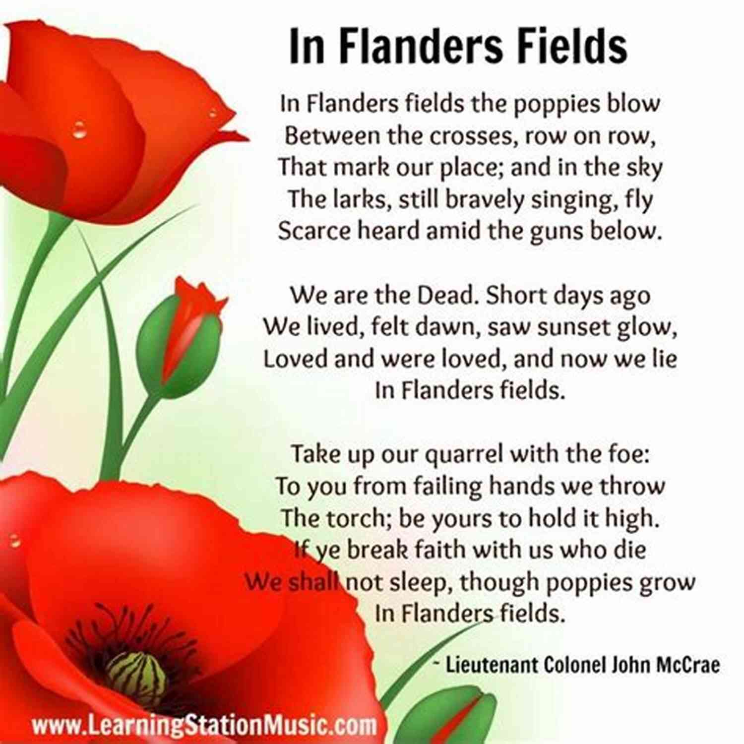 In Flanders Fields An Emblem Of Remembrance In Flanders Fields Kara Hughes
