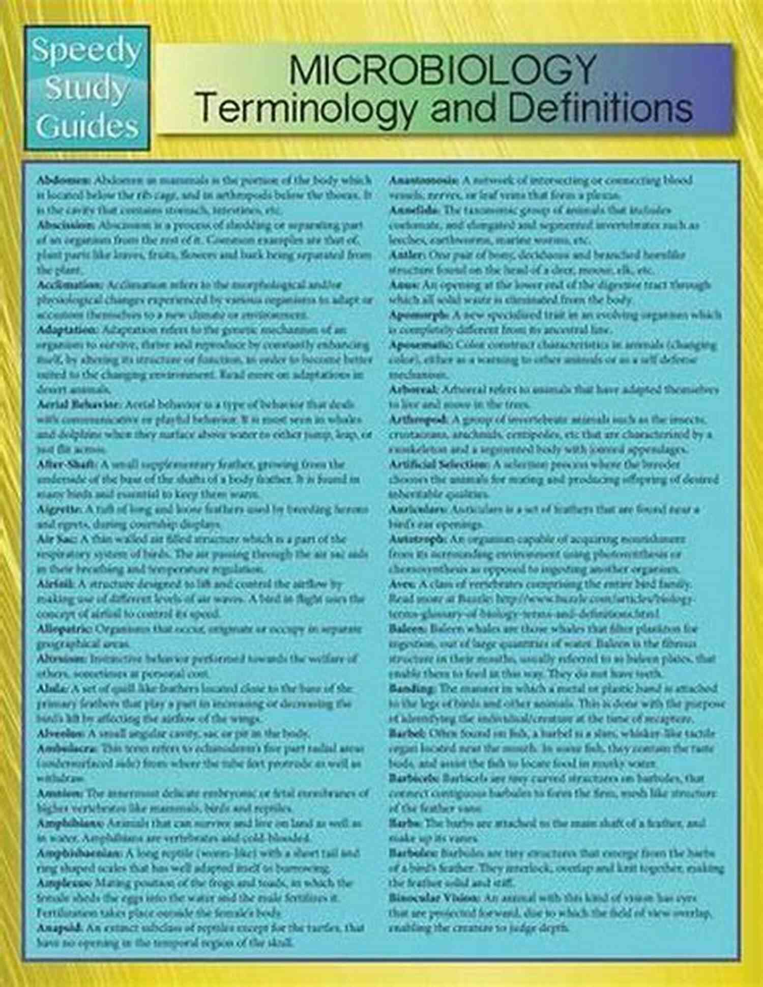 Microbiology Speedy Study Guides Lavee Natch Microbiology: Speedy Study Guides Lavee Natch