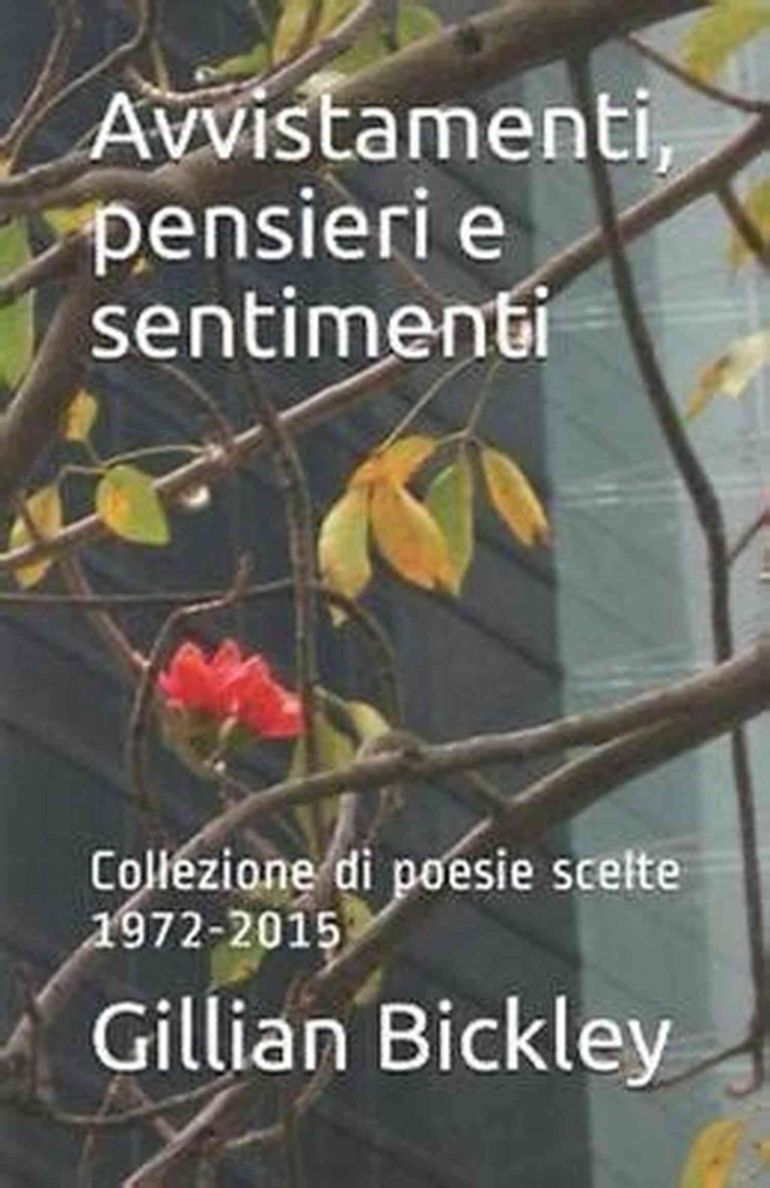 Sightings Of Avvistamenti Pensieri Sentimenti Avvistamenti Pensieri E Sentimenti: Sightings Thoughts And Feelings