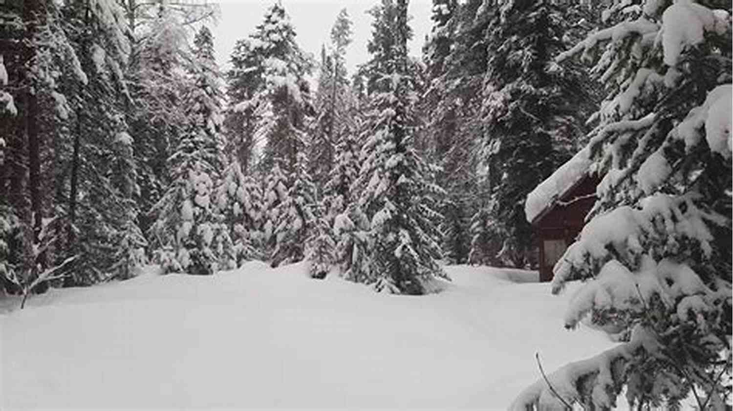 Silent Snowfall Winter Love: Haiku Valerie Nifora