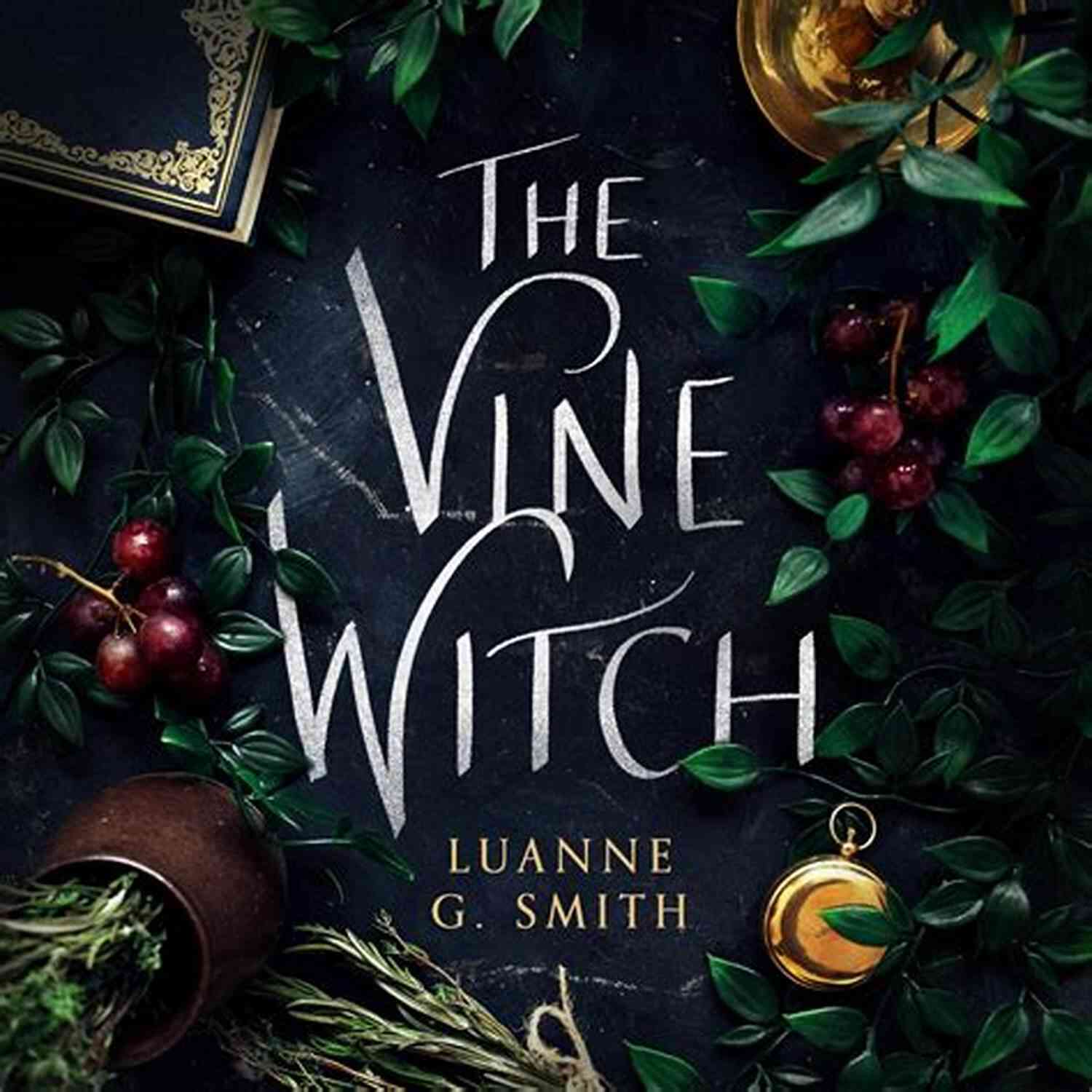The Conjurer: The Vine Witch Cover Image The Conjurer (The Vine Witch 3)