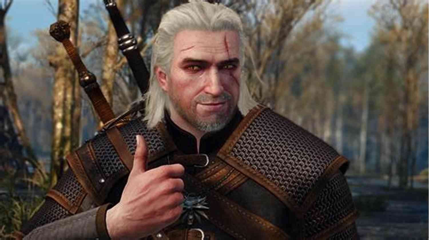 The Witcher Video Game Series Sword Of Destiny (The Witcher 2)