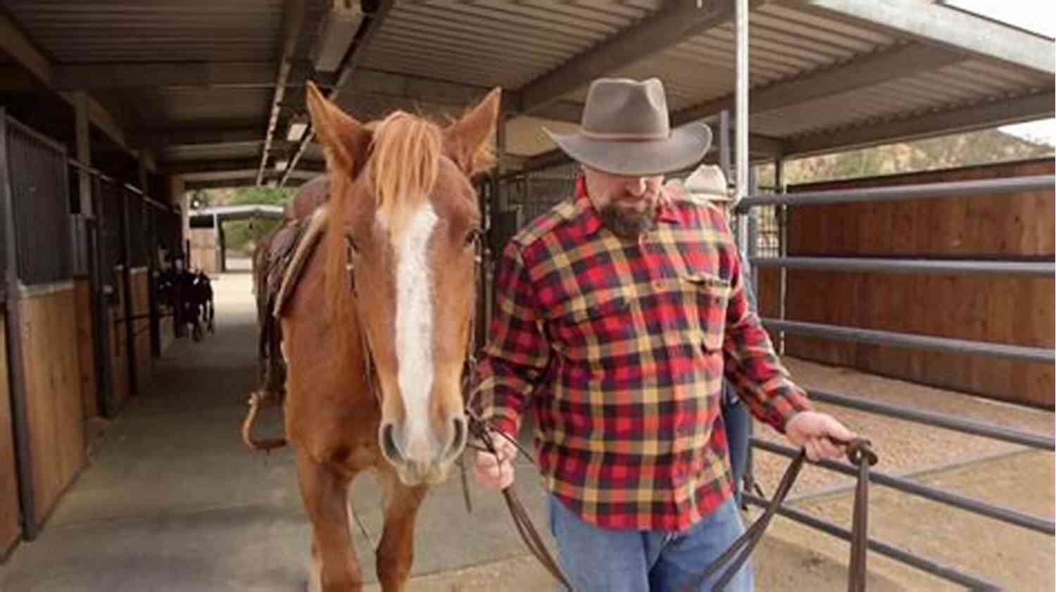 Wild Horse Rescue Mission Rescued By The Cowboy (WEST Protection 2)