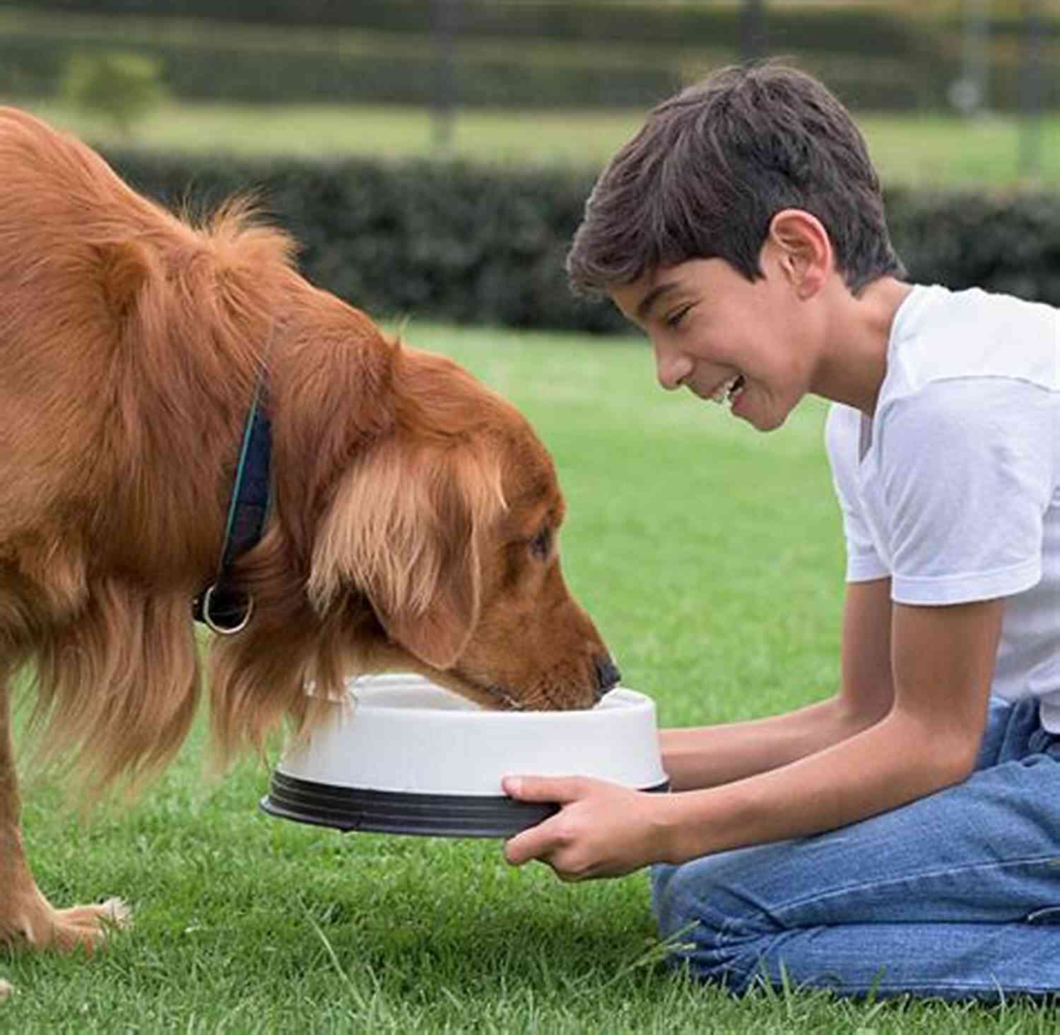 Child Feeding A Dog With A Smile Who Me? Meet The Crew: Super Short Stories Of My Life With 3 Cats And 2 Dogs