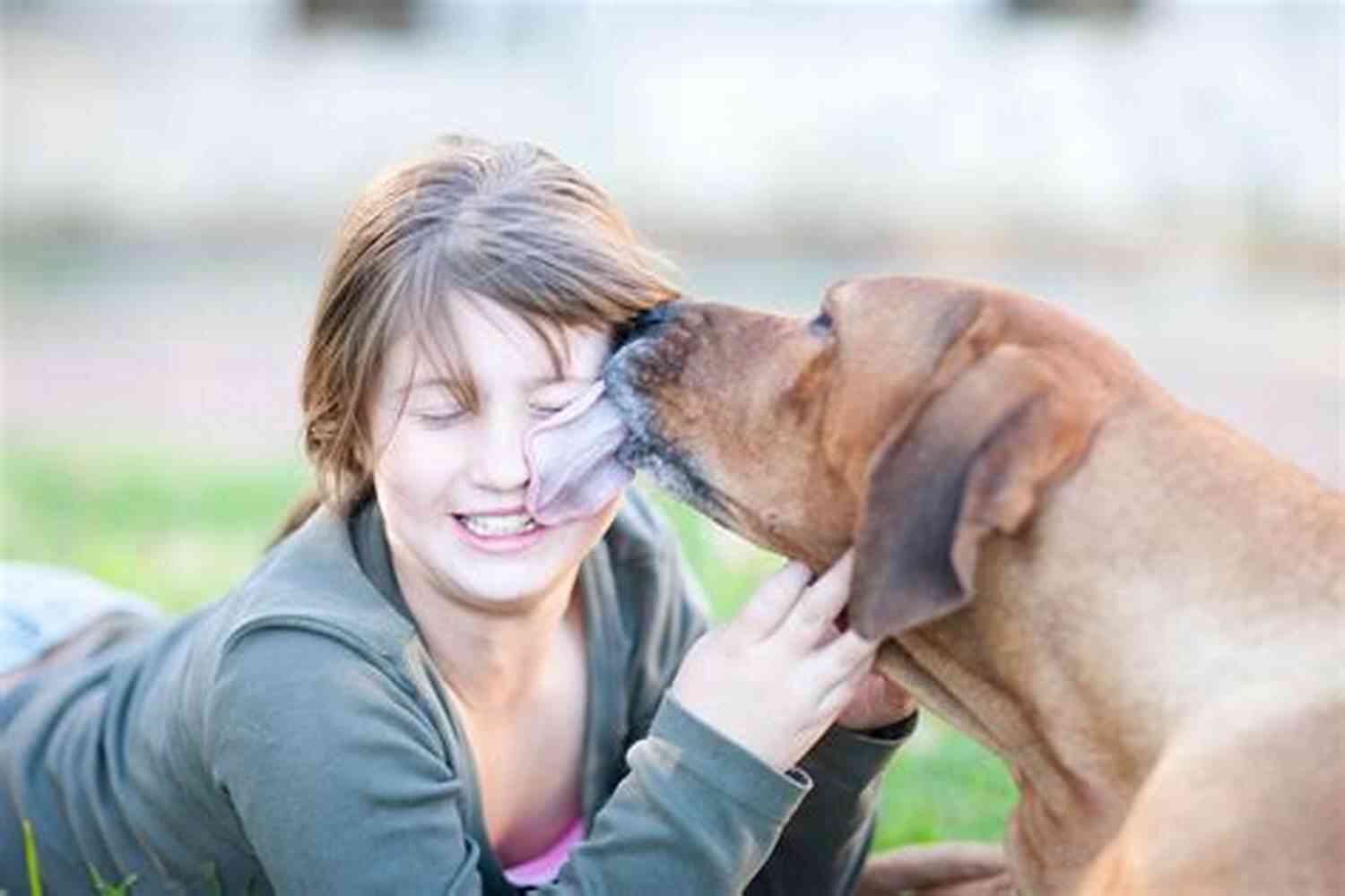 Dog Comforting Owner By Licking Their Face Who Me? Meet The Crew: Super Short Stories Of My Life With 3 Cats And 2 Dogs